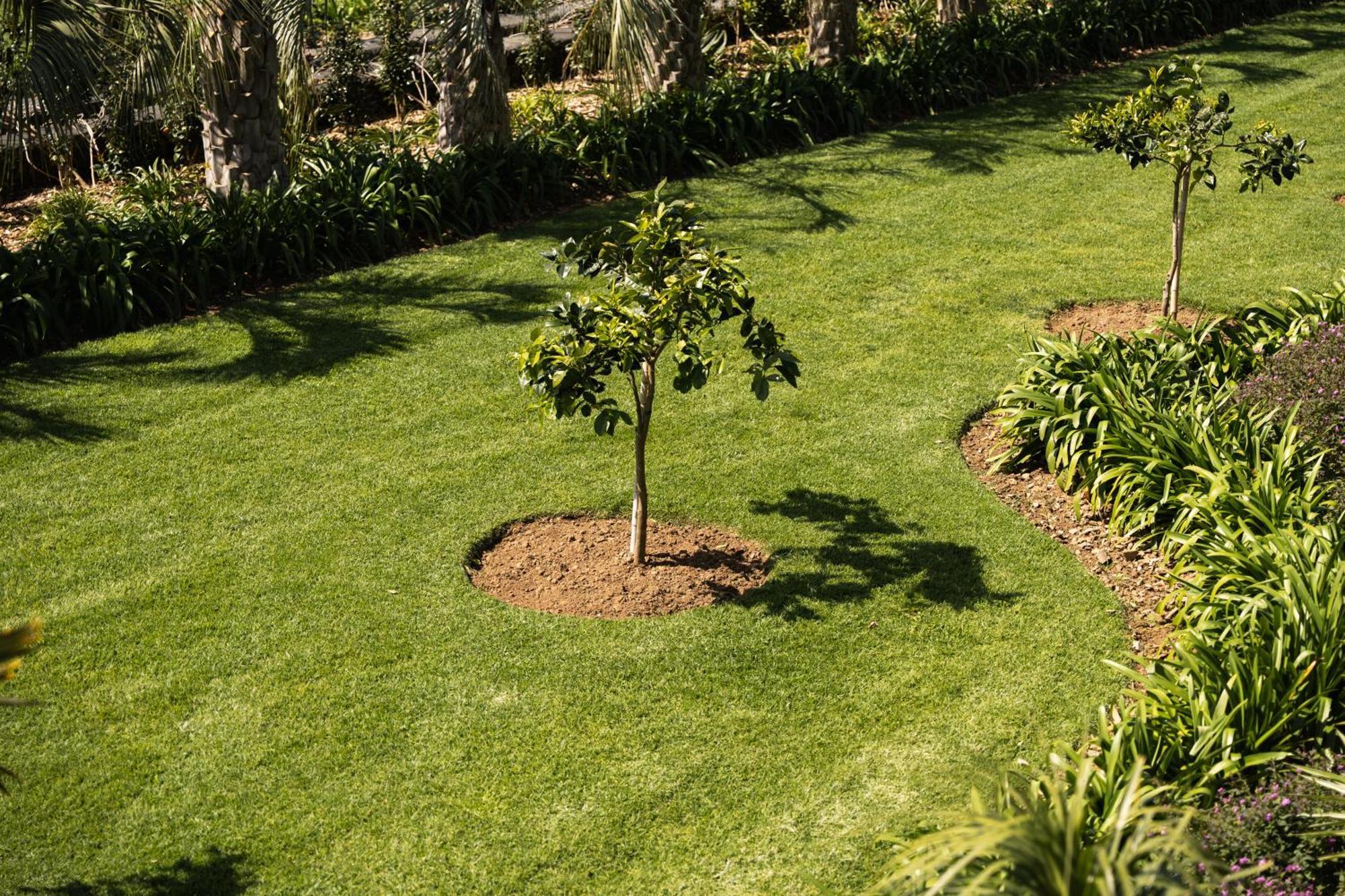 Azores Homes Resort & Spa Ponta Delgada Kültér fotó